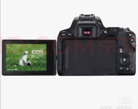 Canon/佳能 EOS 200D II二...