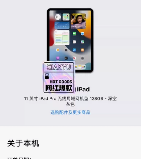 出个人闲置11英寸iPad Pro 无线局...