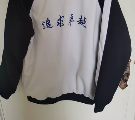 衡水一中冬季校服，水貂绒里，由于是复读生，...