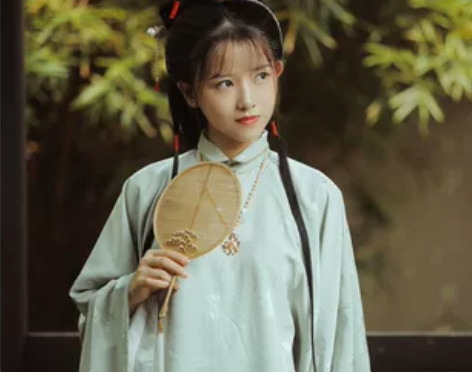 兰若庭 汉服 太平有象 长袄 立领 明制 ...