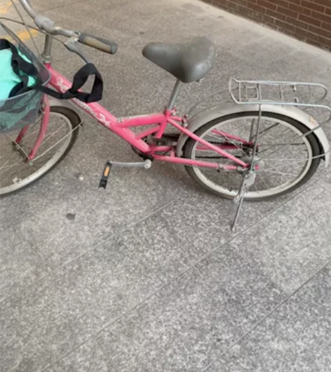 上海凤凰牌通勤自行车女式青春花语轻便学生单...