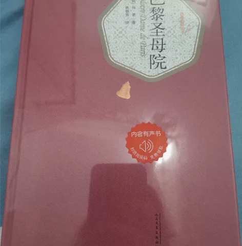 《巴黎圣母院》全新未拆封便宜出 包邮 感兴...