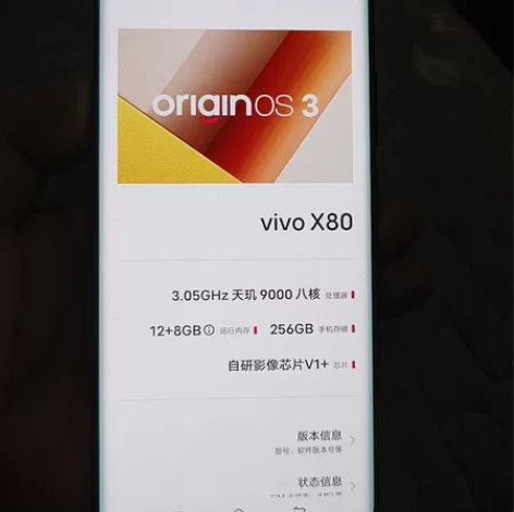 vivo x80(12+256)黑色，只用...