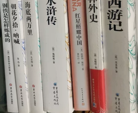 名著阅读系列 中考名著阅读 西游记 儒林外...