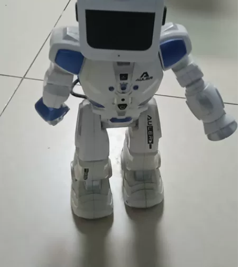水电混合动力机器人，还能玩，没有充电器和遥...