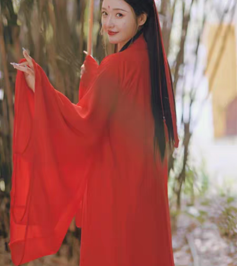汉服古装超仙飘逸魏晋直裾大袖衫素色淡雅 喜...