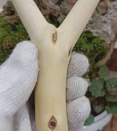 包邮弹弓太多,玩不过来,出几个闲置的。材质...