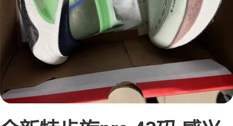 全新特步旋pro 43码 感兴趣的话点“我...