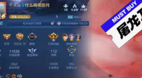 包邮王者荣耀低星号出租,全英雄满铭文,带妹...