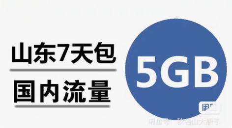 山东移动手机流量充值5GB 全国通用国内流...