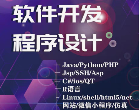 包邮计算机程序设计,java程序,小程序,...