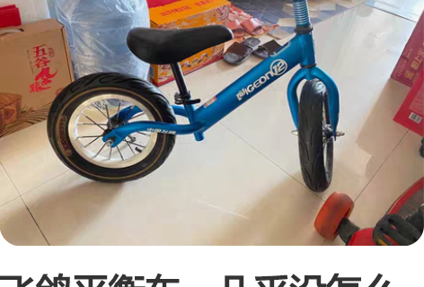 飞鸽平衡车，几乎没怎么骑过，12寸的，孩子...