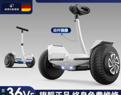 转卖德国ZOLA官方旗舰店2022新款平衡...