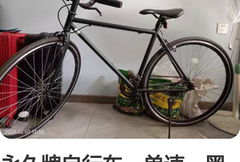 永久牌自行车,单速,黑色款,上下班通勤,有...