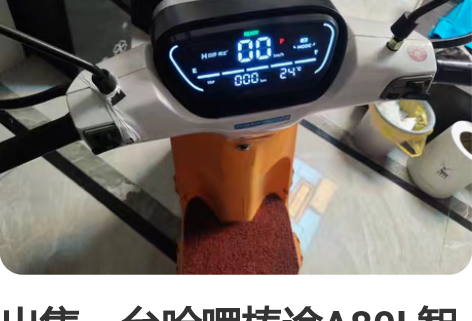 全新哈啰A86L青春版，锂电池续航80公里...