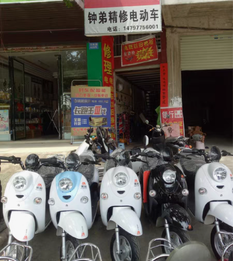 包邮出售小绵羊电动车、各种龟车本店出一批二...