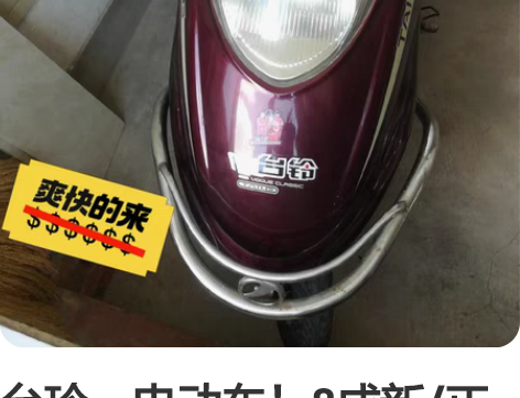 台玲~电动车!8成新/正常使用! 急急!售...
