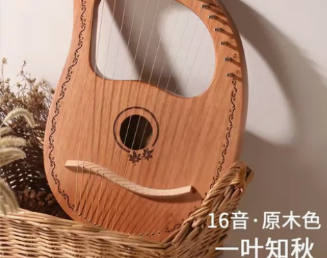 莱雅琴 全新￥10018人想要