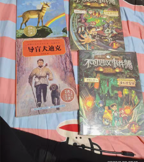孩子不看的课外书,一本六元包邮。五本起邮。...