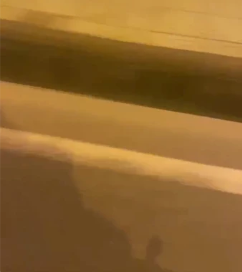 小忍者  Ninja   维森克  350...