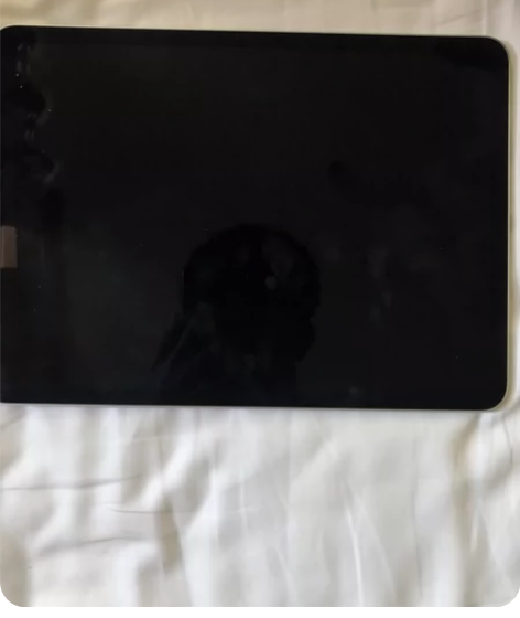 Ipad Pro 21款 256G 国...