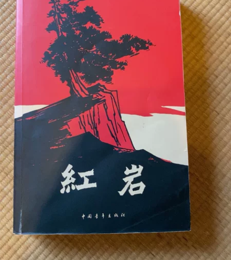 初中必读书目,红岩,便宜出10元,大连市内...