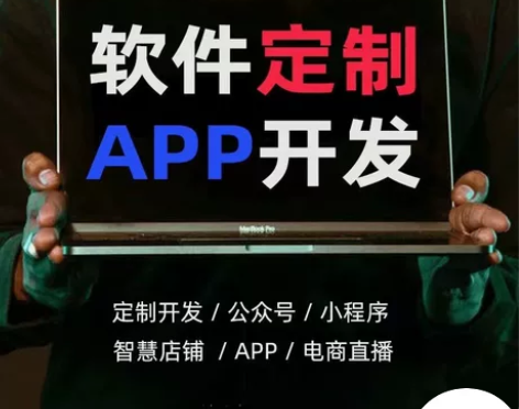 主要涉域语言:PHP、JAVA、.NET、...