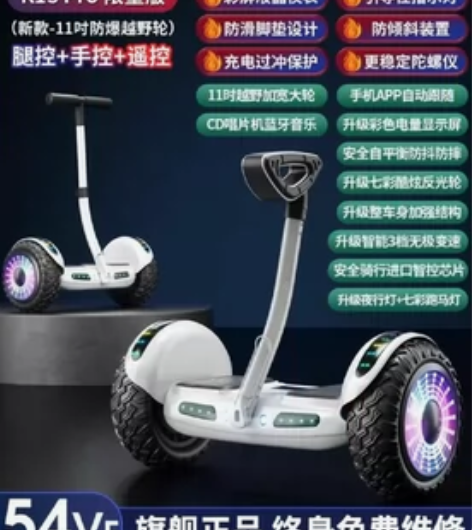 全新闲置，未拆封。德国ZOLA平衡车 型号...