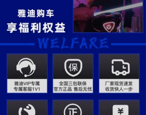 雅迪电动车官方DE2新国标轻便女士小型代步...