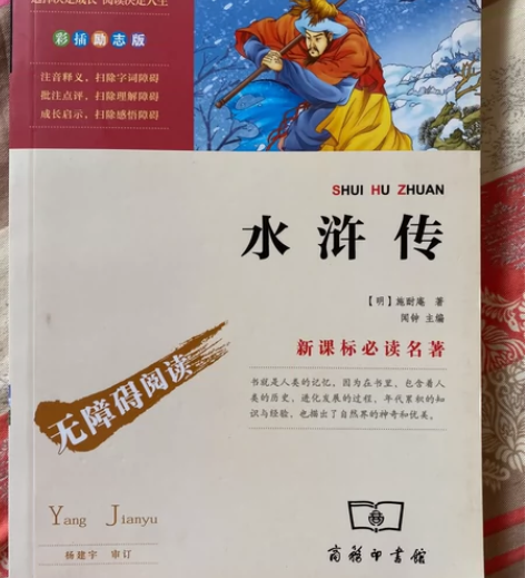 青少年版《水浒传》无障碍阅读,新课标必读名...