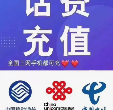 810充一千话费 天津 浙江 福建三网联通...