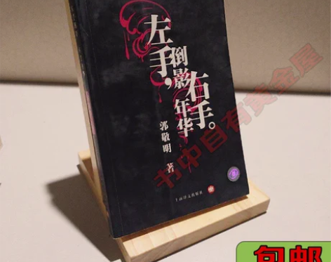 正版二手左手倒影,右手年华 郭敬明 上海译...